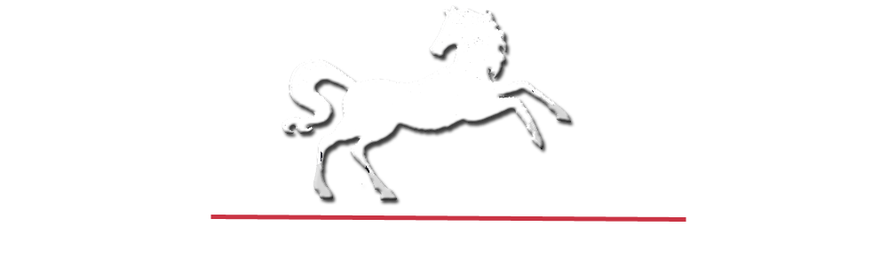 Equestrian Concepts